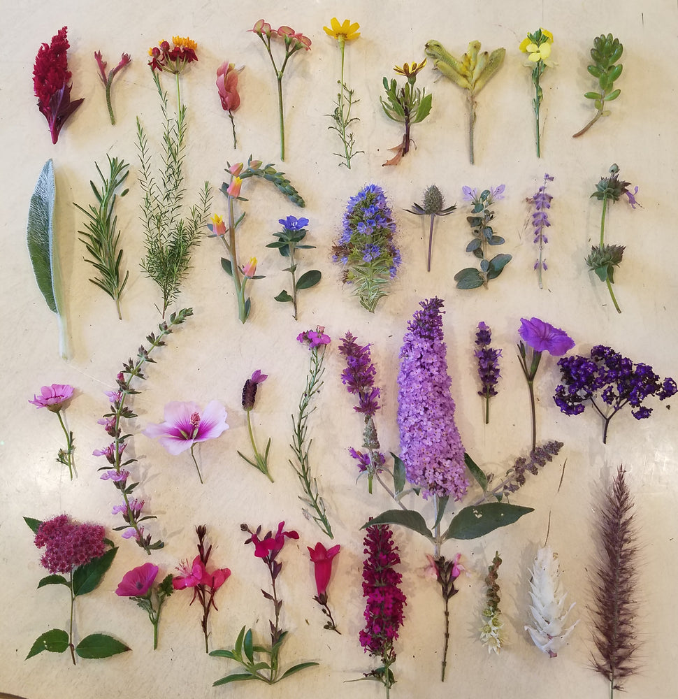 40 FLOWERS FOR PRIDE