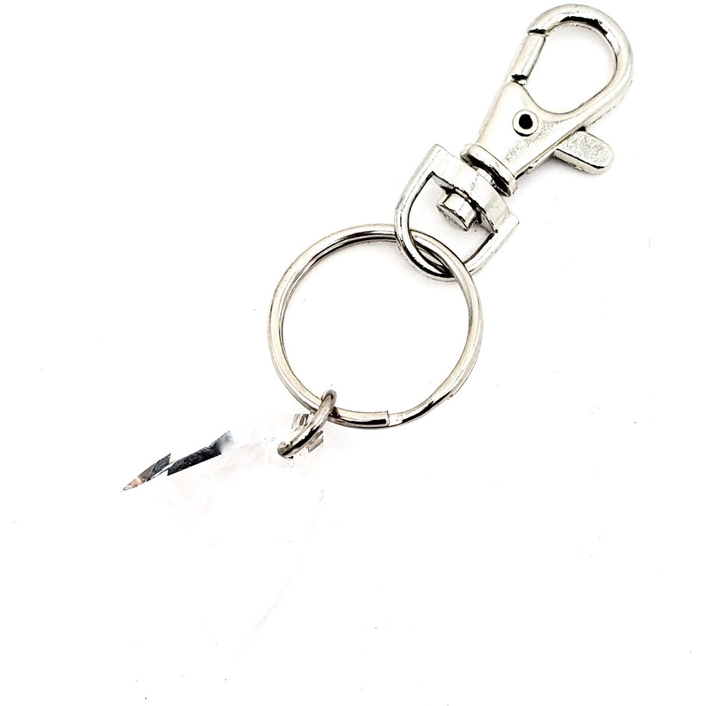 RARE FIND MOONLIGHT DROP GOOD LUCK KEY CHARM