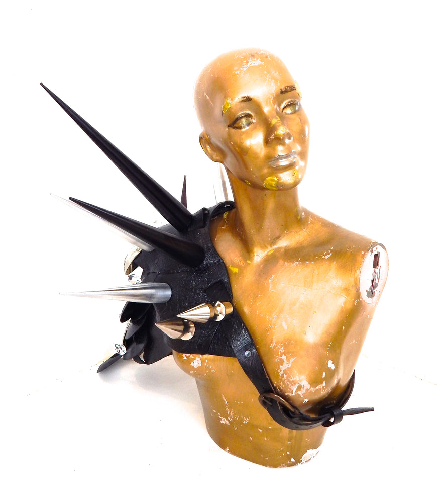 BLACK DRAGON HARNESS