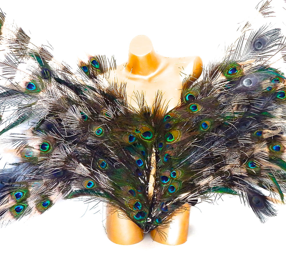 WILD PEACOCK WAIST CINCHER