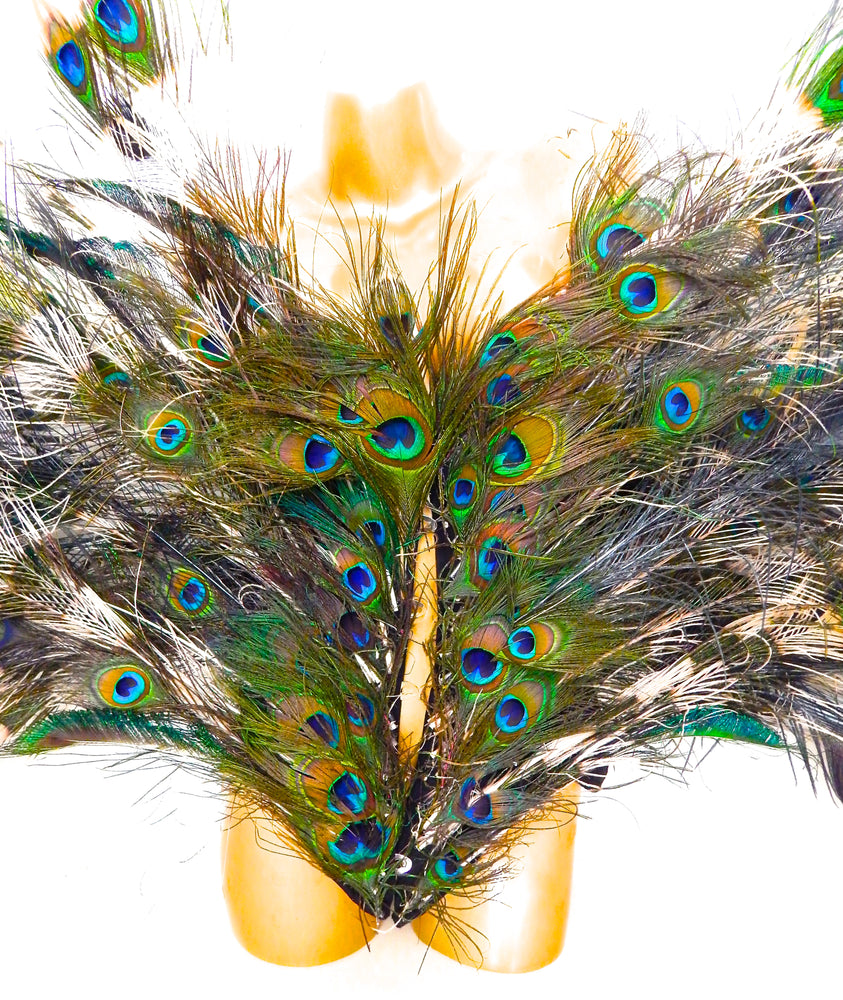 WILD PEACOCK WAIST CINCHER