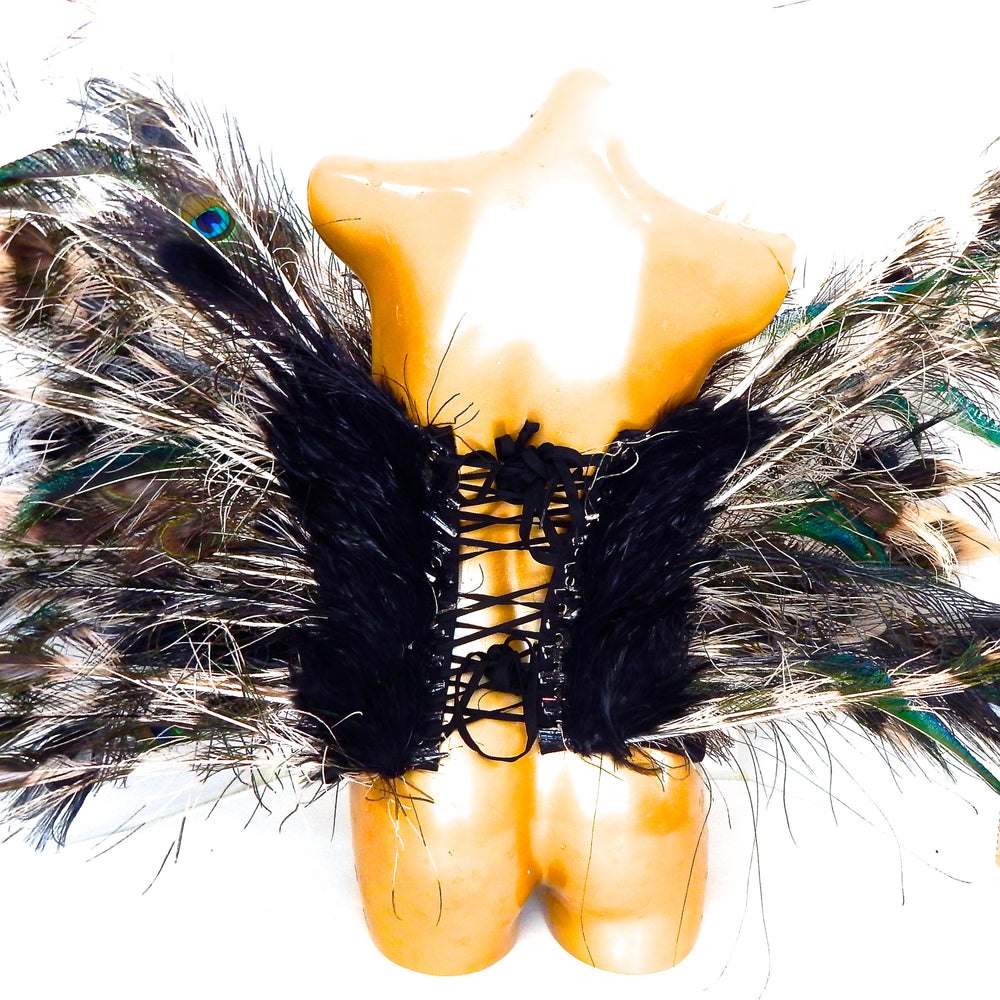 WILD PEACOCK WAIST CINCHER