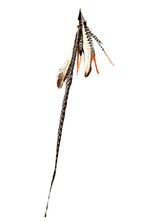 FEATHER TIGER TURKEY2 EARRING
