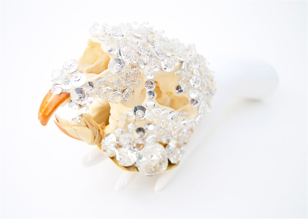 METAL PEARL BONE APRIL 2012