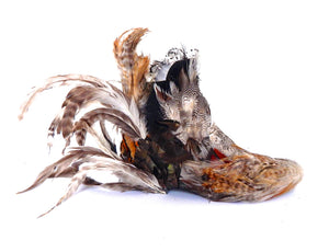 GOLDEN TAIL BOOTS