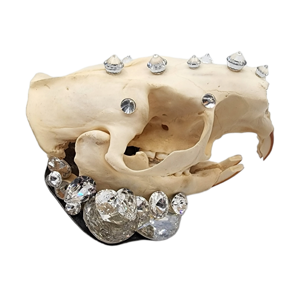 GLASGOW GRIN DIVINE RING