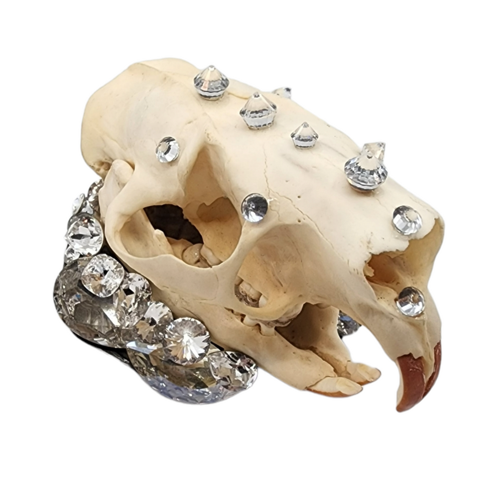 GLASGOW GRIN DIVINE RING