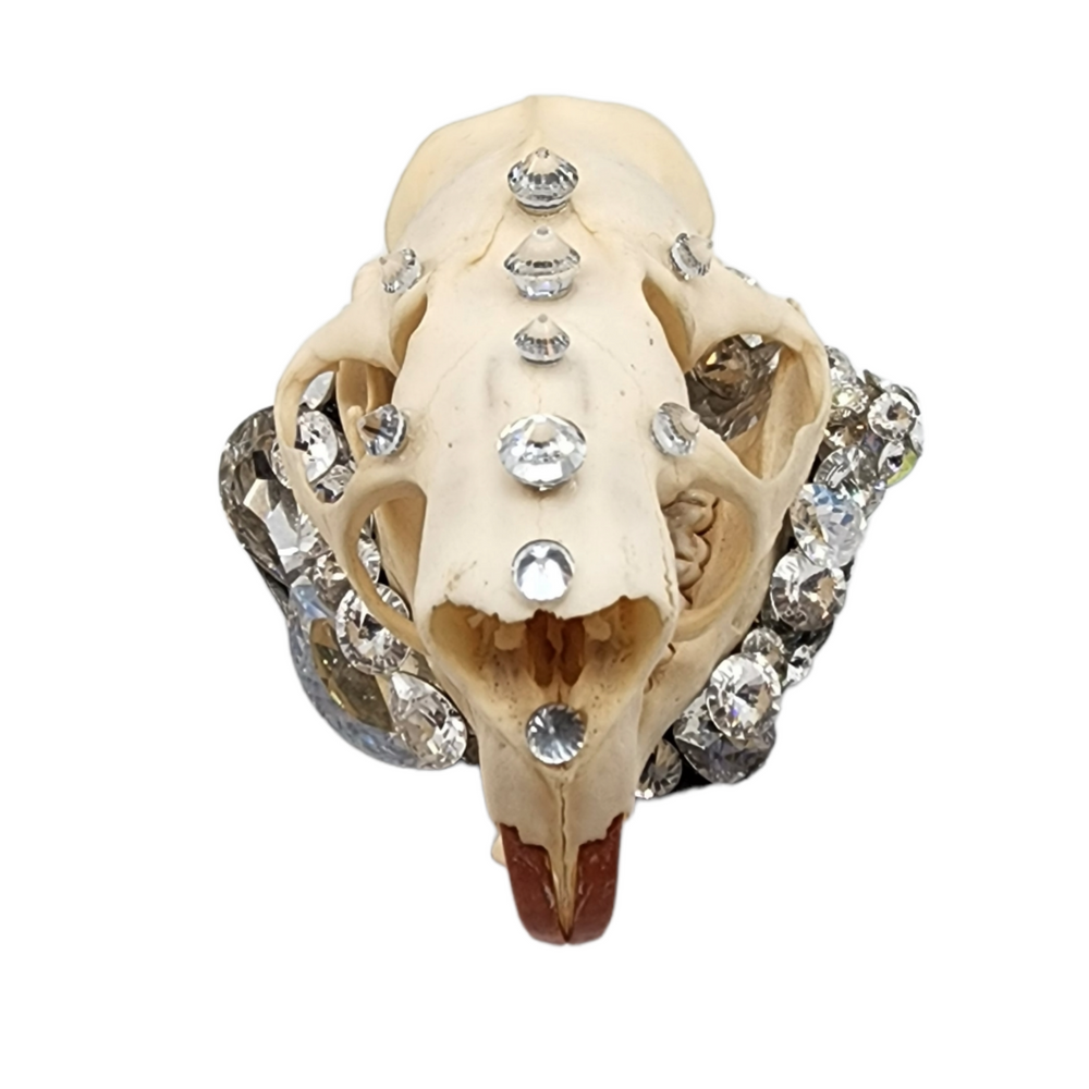 GLASGOW GRIN DIVINE RING