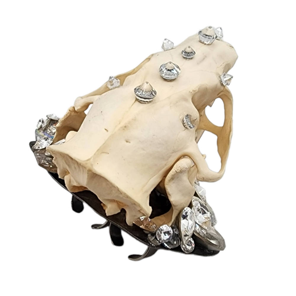 GLASGOW GRIN DIVINE RING