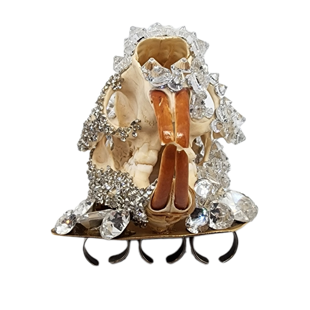 GLASGOW GRIN CRYSTAL SKULL RING