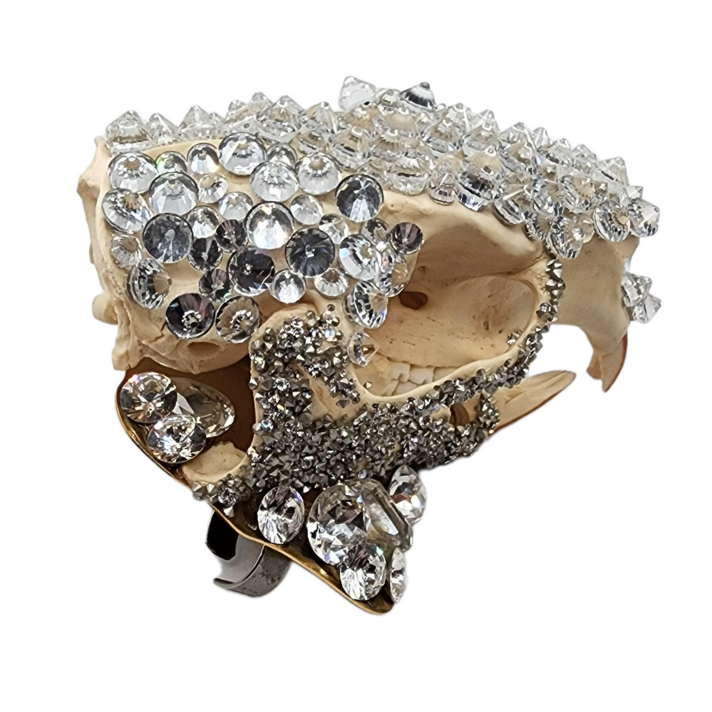 GLASGOW GRIN CRYSTAL SKULL RING