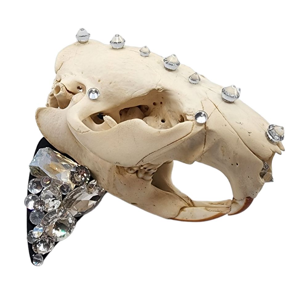 GLASGOW GRIN KNUCKLE DUSTER RING