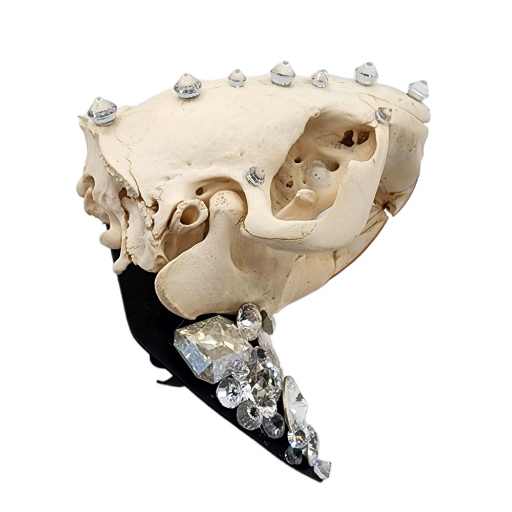 GLASGOW GRIN KNUCKLE DUSTER RING