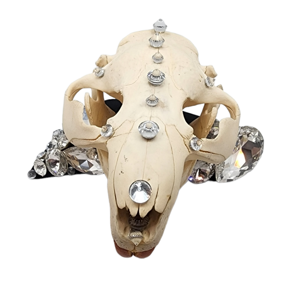 GLASGOW GRIN KNUCKLE DUSTER RING