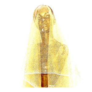 JANIS VEIL