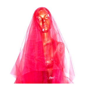 SUZI VEIL