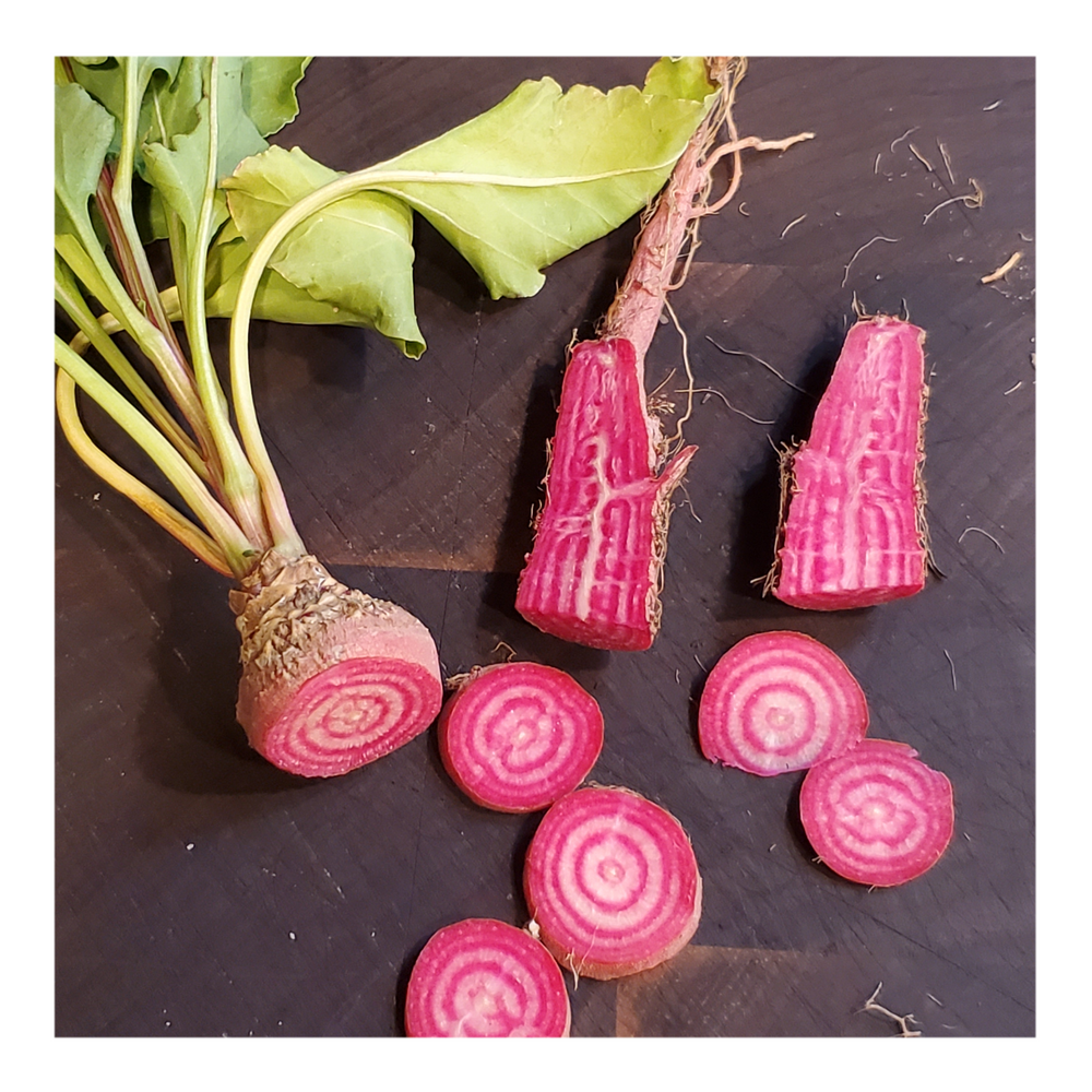 CHIOGGIA HEIRLOOM BEETS