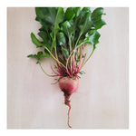 CHIOGGIA HEIRLOOM BEETS