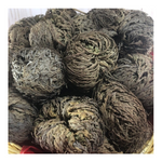 SCORPION ROSE OF JERICHO