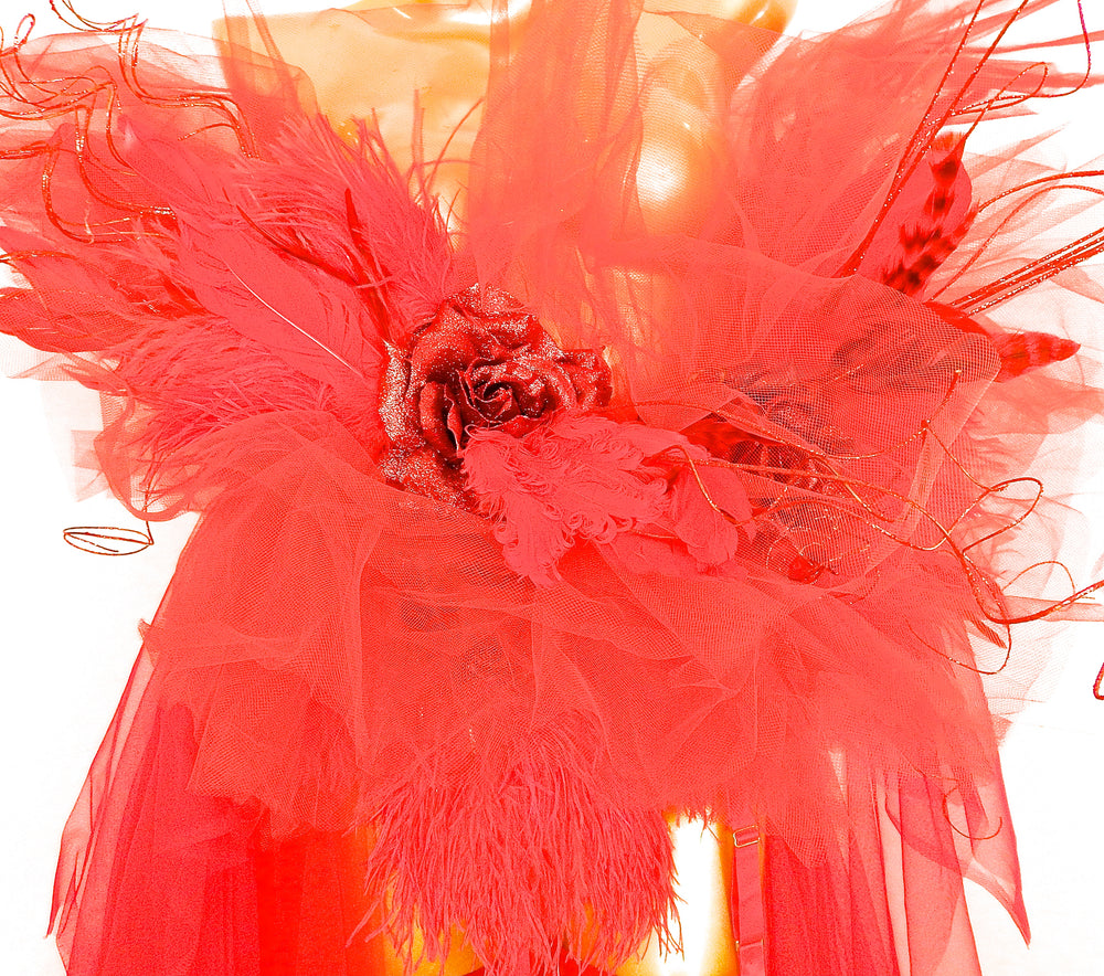 SCARLATTA TULLE CINCHER