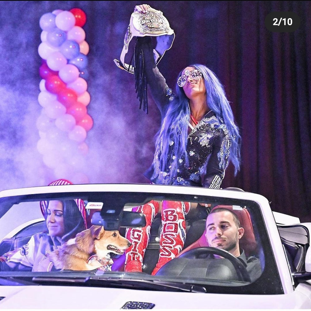 WWE SUPER STAR SASHA BANKS X THE GREAT AMERICAN BASH