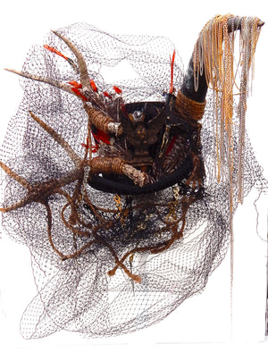 Descriptive image text